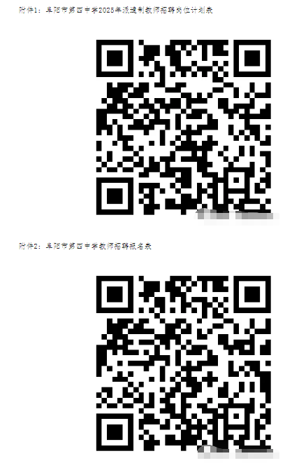 2025年阜陽市第四中學(xué)派遣制教師招聘公告
